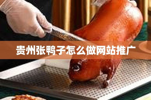 贵州张鸭子怎么做网站推广
