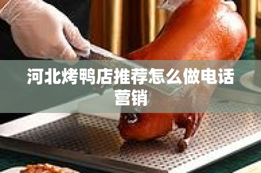 河北烤鸭店推荐怎么做电话营销