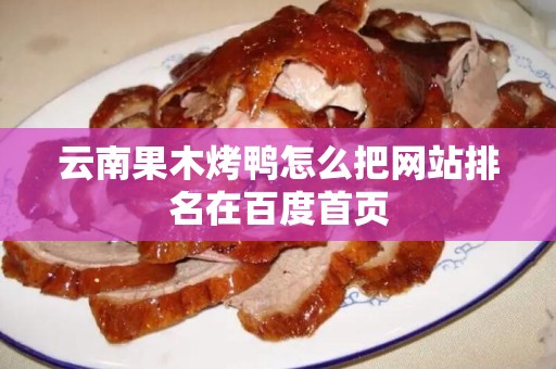云南果木烤鸭怎么把网站排名在百度首页