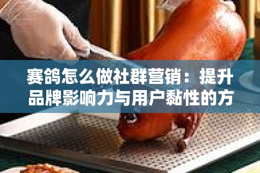 赛鸽怎么做社群营销：提升品牌影响力与用户黏性的方法探讨