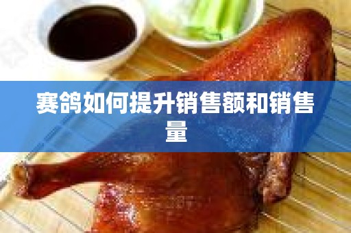 赛鸽如何提升销售额和销售量
