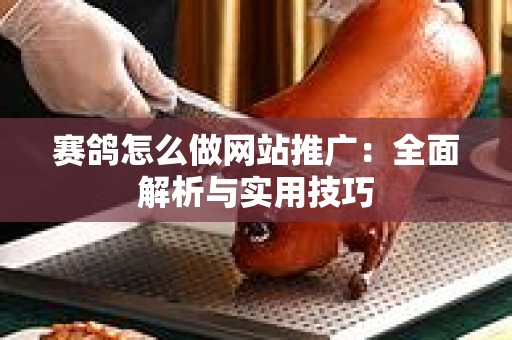 赛鸽怎么做网站推广：全面解析与实用技巧