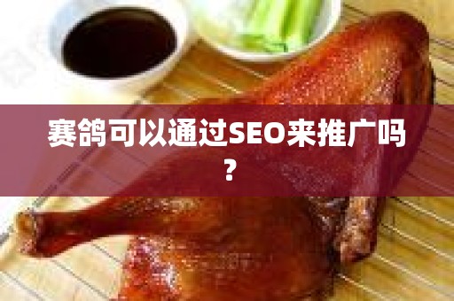 赛鸽可以通过SEO来推广吗？