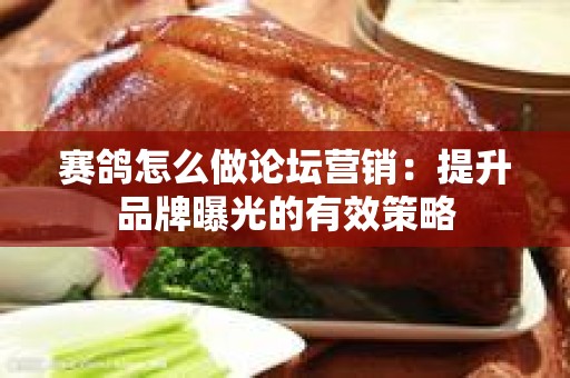 赛鸽怎么做论坛营销：提升品牌曝光的有效策略