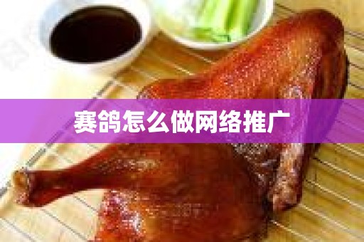 赛鸽怎么做网络推广